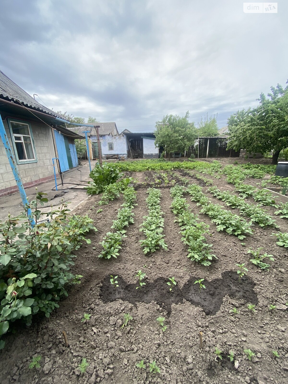 одноповерховий будинок з гаражем, 60 кв. м, цегла. Продаж в Кам’янському, район Південний фото 1 одноповерховий будинок з гаражем, 60 кв. м, цегла. Продаж в Кам’янському, район Південний фото 1