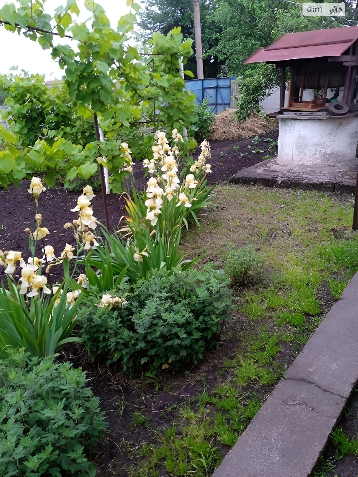 одноповерховий будинок, 50 кв. м, шлакоблок. Продаж в Кам’янському, район Заводський фото 1 одноповерховий будинок, 50 кв. м, шлакоблок. Продаж в Кам’янському, район Заводський фото 1