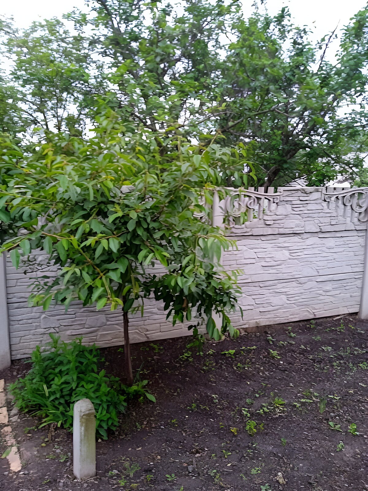 одноповерховий будинок, 50 кв. м, шлакоблок. Продаж в Кам’янському, район Заводський фото 1 одноповерховий будинок, 50 кв. м, шлакоблок. Продаж в Кам’янському, район Заводський фото 1