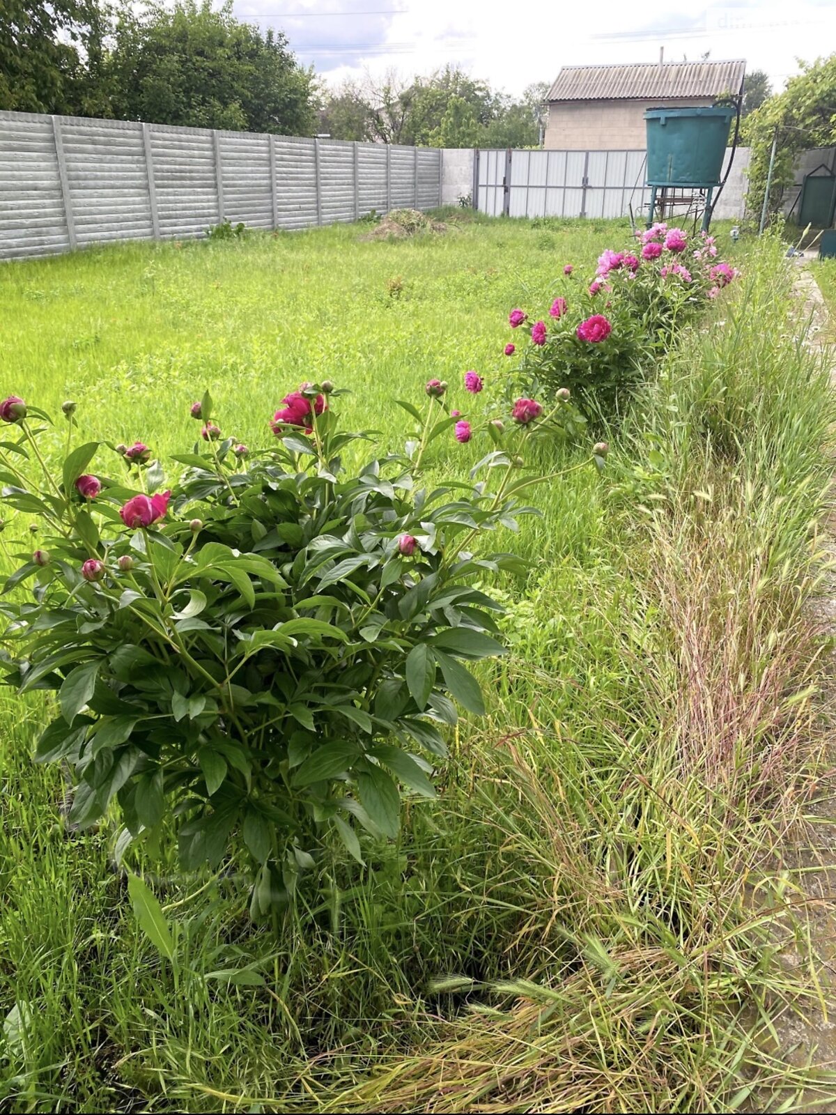 двоповерховий будинок з опаленням, 120 кв. м, цегла. Продаж у Кам’янському фото 1 двоповерховий будинок з опаленням, 120 кв. м, цегла. Продаж у Кам’янському фото 1