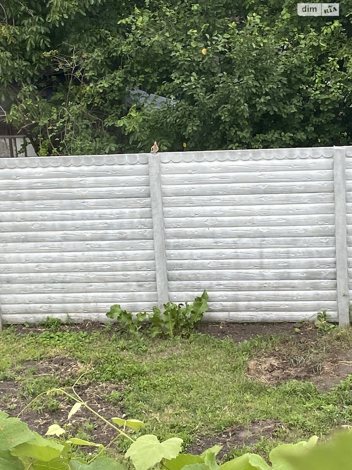 двоповерховий будинок з опаленням, 120 кв. м, цегла. Продаж у Кам’янському фото 1 двоповерховий будинок з опаленням, 120 кв. м, цегла. Продаж у Кам’янському фото 1