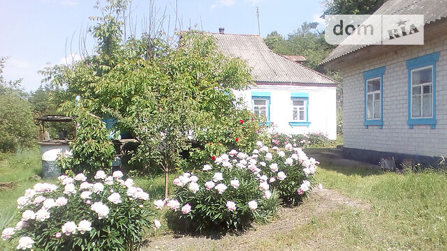 одноповерховий будинок веранда, 65 кв. м, кирпич. Продаж у Мартинівці фото 1