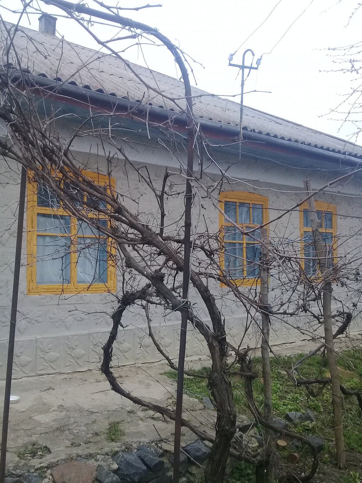 одноэтажный дом, 60.8 кв. м, кирпич саманный. Продажа в Каташине фото 1 одноэтажный дом, 60.8 кв. м, кирпич саманный. Продажа в Каташине фото 1