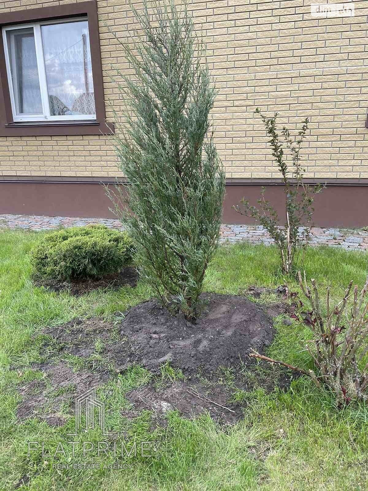 двоповерховий будинок бесідка, 161.7 кв. м, цегла. Продаж у Катюжанці фото 1 двоповерховий будинок бесідка, 161.7 кв. м, цегла. Продаж у Катюжанці фото 1