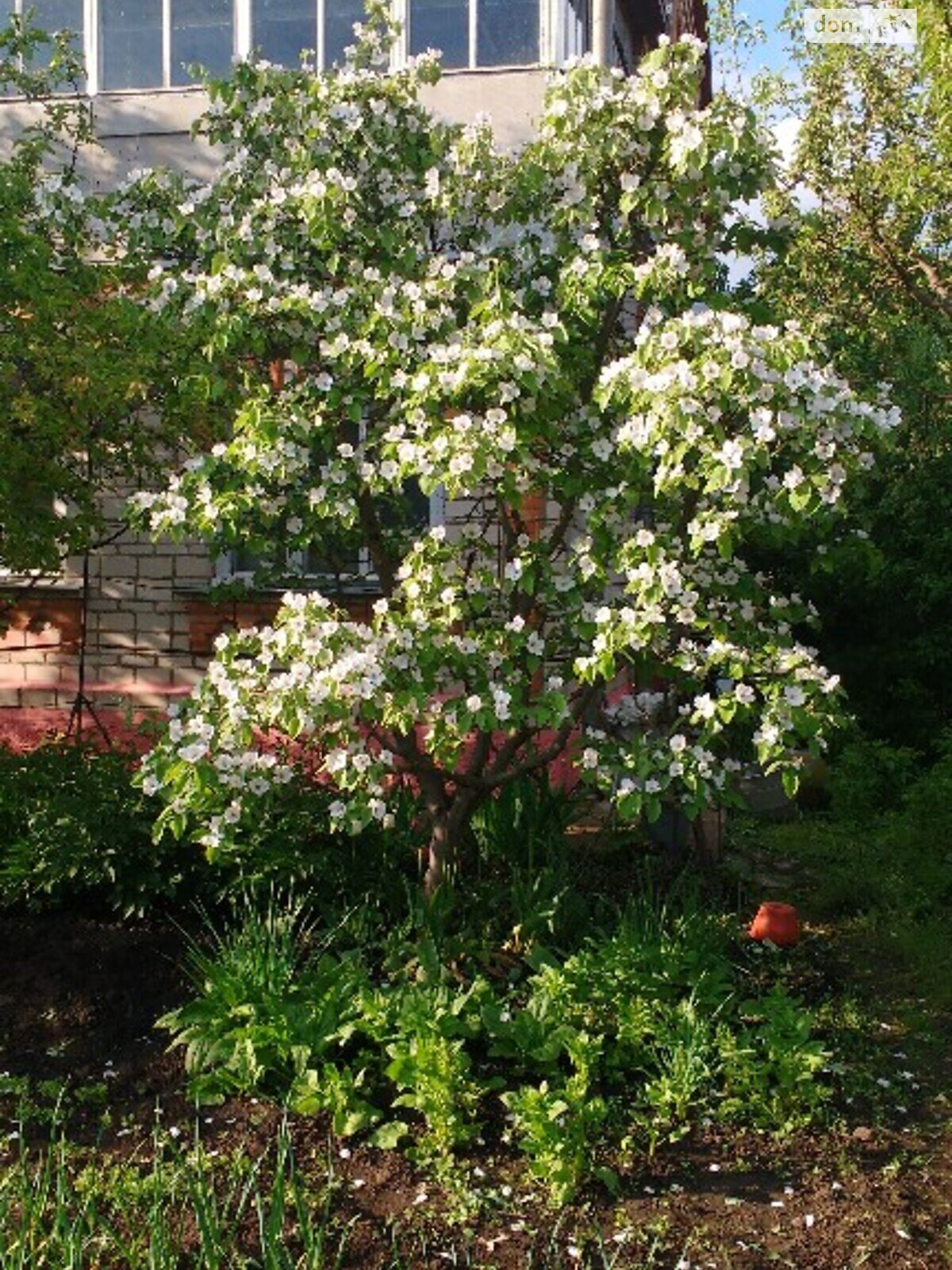 триповерховий будинок з верандою, 156 кв. м, цегла. Продаж в Козятині, район Козятин фото 1 триповерховий будинок з верандою, 156 кв. м, цегла. Продаж в Козятині, район Козятин фото 1