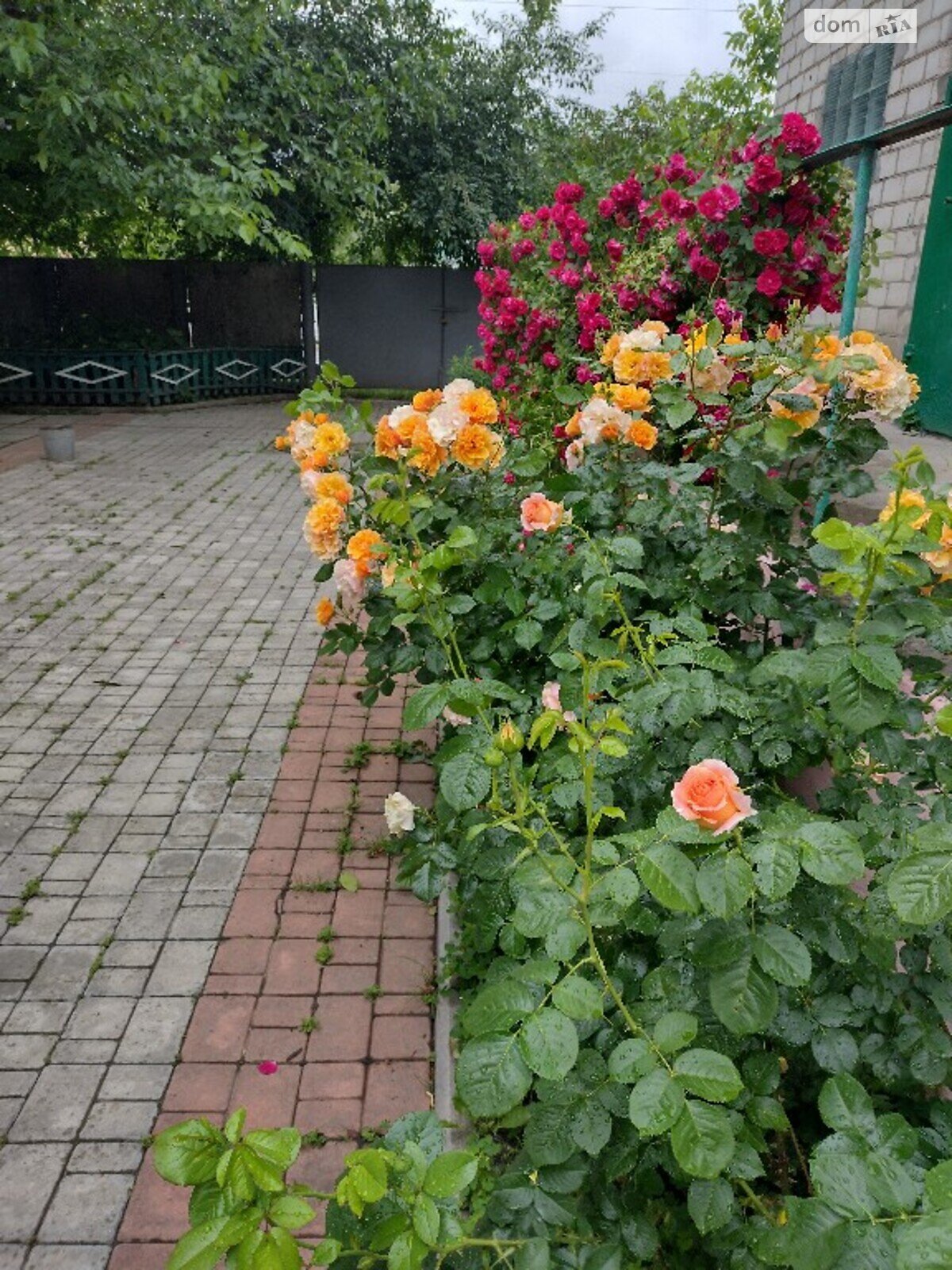 триповерховий будинок з верандою, 156 кв. м, цегла. Продаж в Козятині, район Козятин фото 1 триповерховий будинок з верандою, 156 кв. м, цегла. Продаж в Козятині, район Козятин фото 1