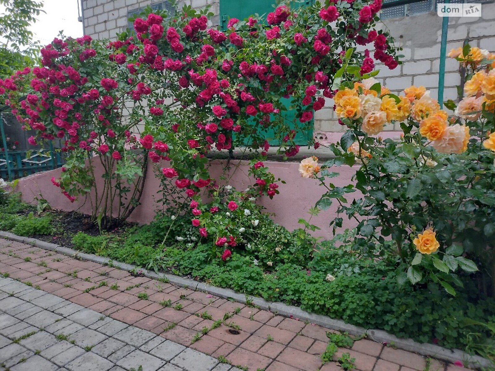 триповерховий будинок з верандою, 156 кв. м, цегла. Продаж в Козятині, район Козятин фото 1 триповерховий будинок з верандою, 156 кв. м, цегла. Продаж в Козятині, район Козятин фото 1