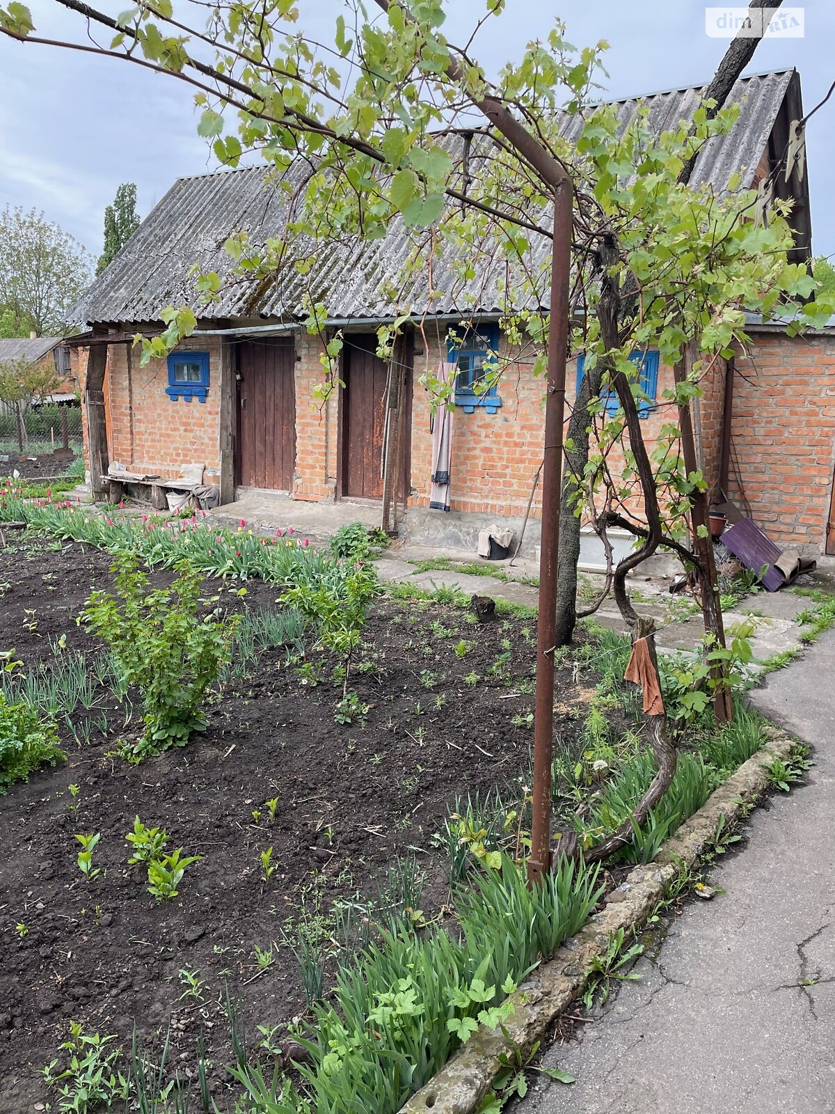 одноэтажный дом с гаражом, 63 кв. м, кирпич. Продажа в Казатине район Казатин фото 1 одноэтажный дом с гаражом, 63 кв. м, кирпич. Продажа в Казатине район Казатин фото 1