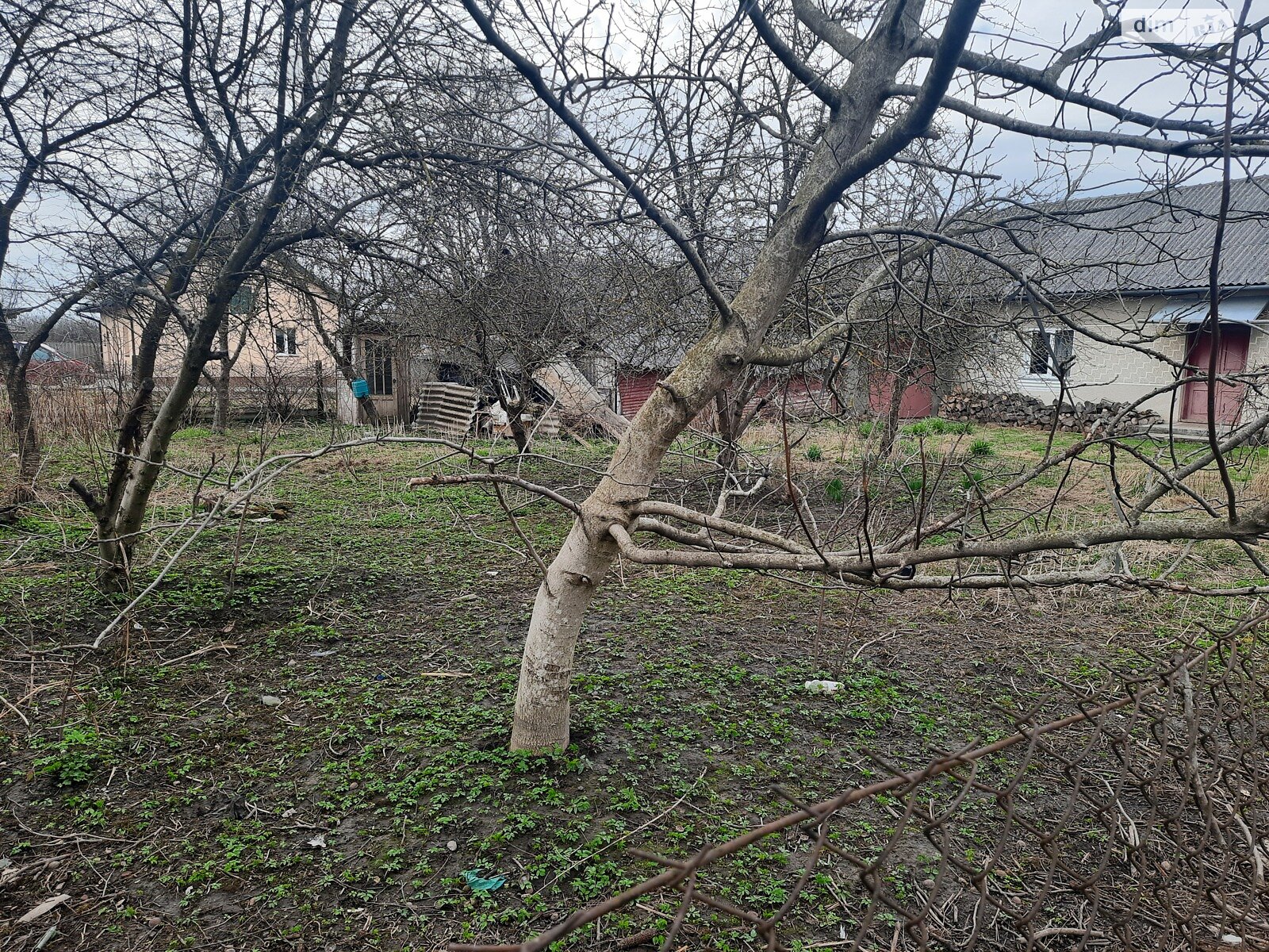 одноповерховий будинок з верандою, 115 кв. м, цегла. Продаж у Керниці фото 1 одноповерховий будинок з верандою, 115 кв. м, цегла. Продаж у Керниці фото 1