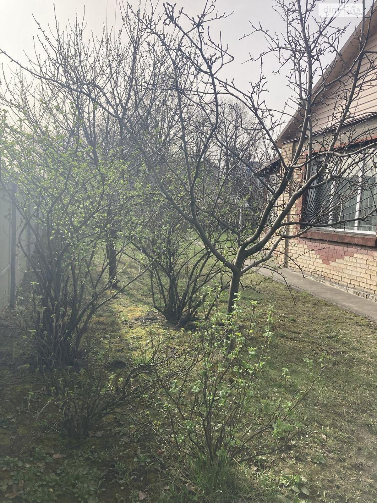 одноэтажный дом, 68 кв. м, кирпич. Продажа в Киеве район Беличи фото 1 одноэтажный дом, 68 кв. м, кирпич. Продажа в Киеве район Беличи фото 1