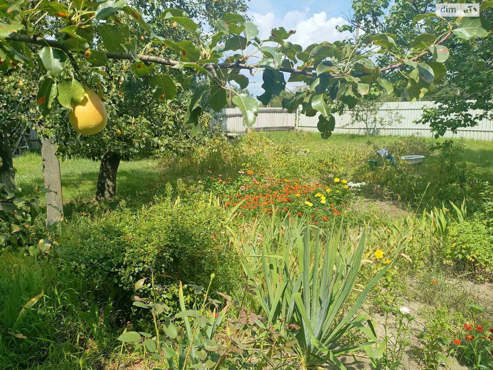 одноэтажный дом с верандой, 63.6 кв. м, кирпич. Продажа в Киеве район Борщаговка фото 1 одноэтажный дом с верандой, 63.6 кв. м, кирпич. Продажа в Киеве район Борщаговка фото 1