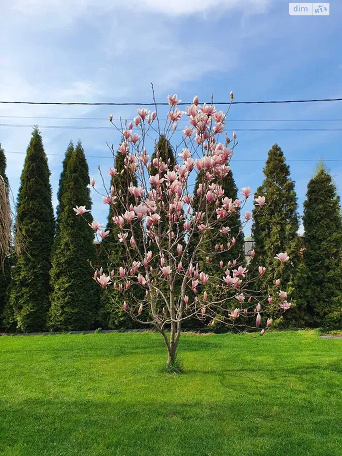 двоповерховий будинок бесідка, 167 кв. м, цегла. Продаж в Києві, район Бортничі фото 1 двоповерховий будинок бесідка, 167 кв. м, цегла. Продаж в Києві, район Бортничі фото 1