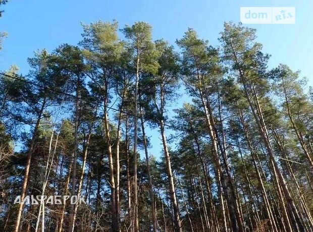 двухэтажный дом, 108 кв. м, кирпич. Продажа в Киеве район Бортничи фото 1 двухэтажный дом, 108 кв. м, кирпич. Продажа в Киеве район Бортничи фото 1