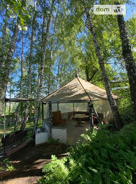 двоповерховий будинок з каміном, 250 кв. м, цегла. Продаж в Києві, район Голосіївський фото 1 двоповерховий будинок з каміном, 250 кв. м, цегла. Продаж в Києві, район Голосіївський фото 1