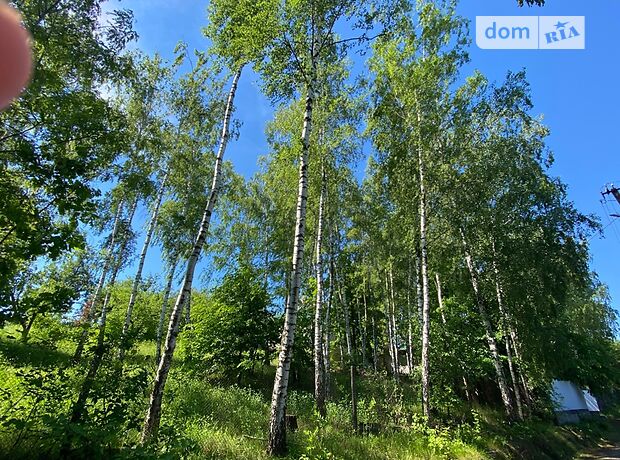 двоповерховий будинок з каміном, 250 кв. м, цегла. Продаж в Києві, район Голосіївський фото 1 двоповерховий будинок з каміном, 250 кв. м, цегла. Продаж в Києві, район Голосіївський фото 1