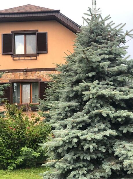 триповерховий будинок з каміном, 274 кв. м, цегла. Продаж в Києві, район Голосіївський фото 1 триповерховий будинок з каміном, 274 кв. м, цегла. Продаж в Києві, район Голосіївський фото 1