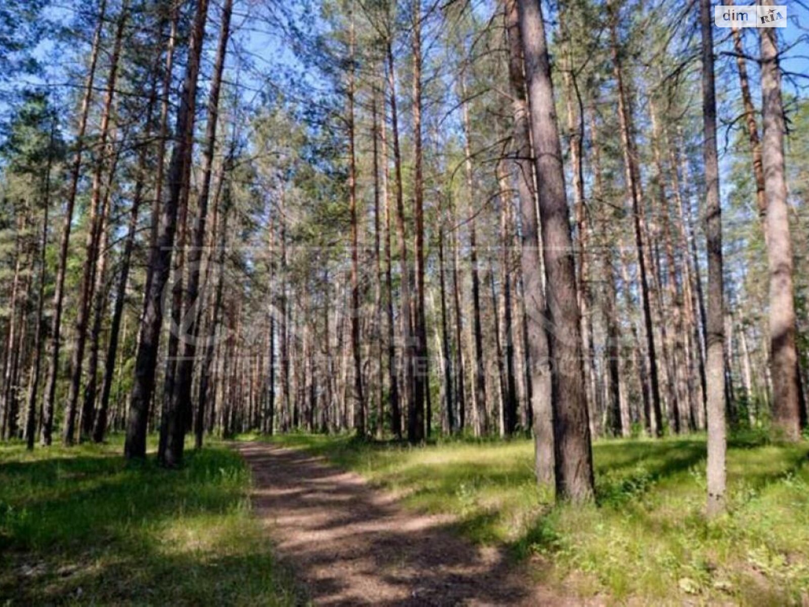 двухэтажный дом, 170 кв. м, кирпич. Продажа в Киеве фото 1 двухэтажный дом, 170 кв. м, кирпич. Продажа в Киеве фото 1