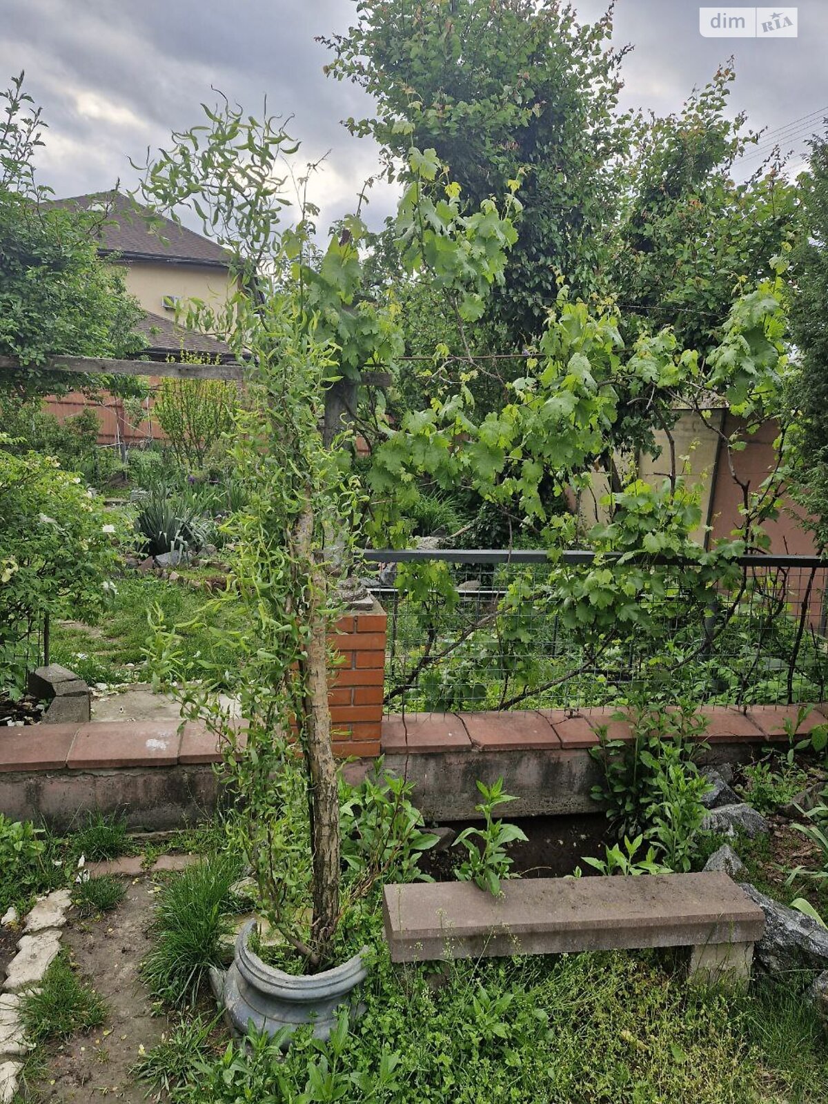двоповерховий будинок бесідка, 300 кв. м, панель. Продаж в Києві, район Оболонський фото 1 двоповерховий будинок бесідка, 300 кв. м, панель. Продаж в Києві, район Оболонський фото 1