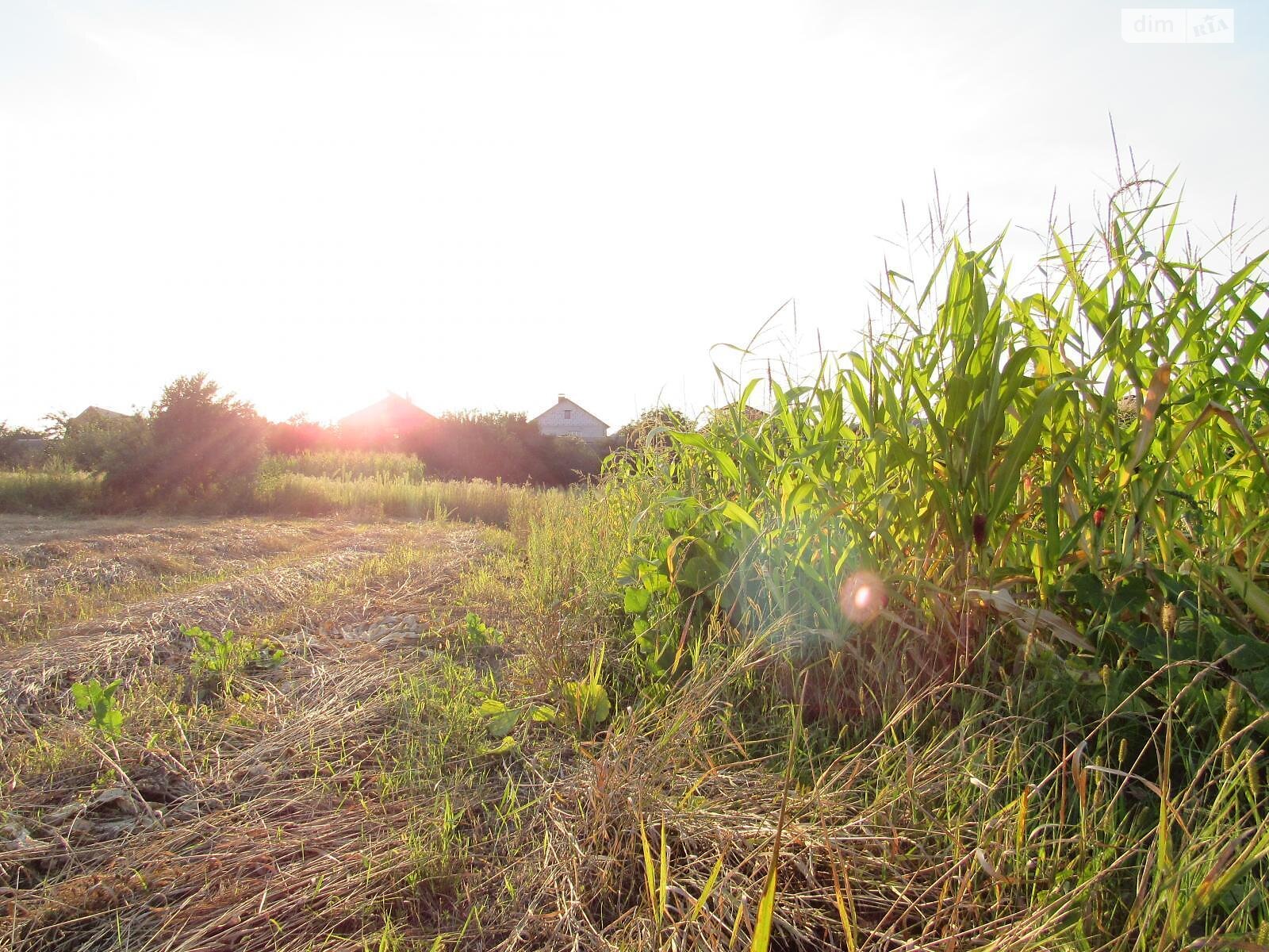 двоповерховий будинок, 120 кв. м, кирпич. Продаж в Києві, район Осокорки фото 1