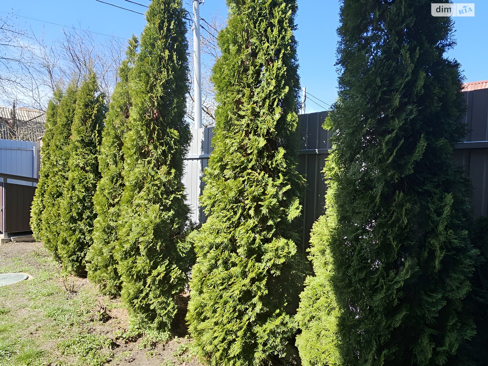 двухэтажный дом с гаражом, 240 кв. м, сендвич-панели. Продажа в Киеве район Подольский фото 1 двухэтажный дом с гаражом, 240 кв. м, сендвич-панели. Продажа в Киеве район Подольский фото 1