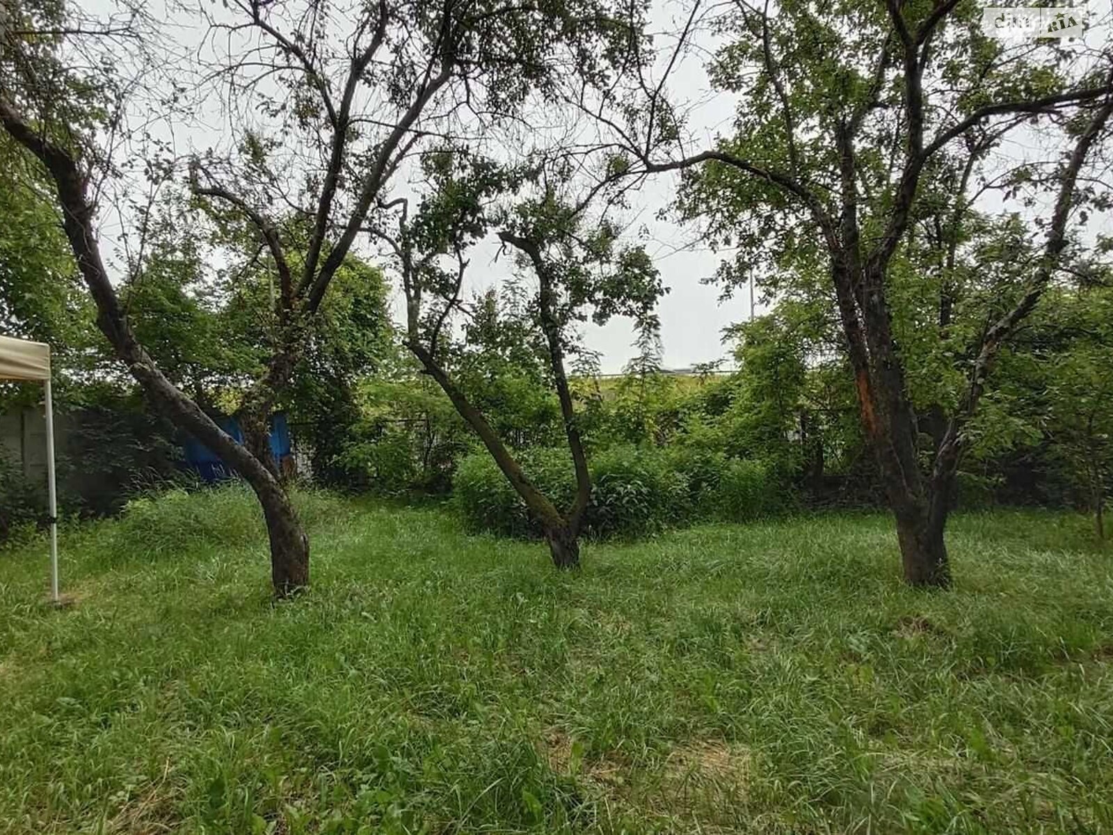 двухэтажный дом, 45 кв. м, кирпич. Продажа в Киеве район Русановские Сады фото 1