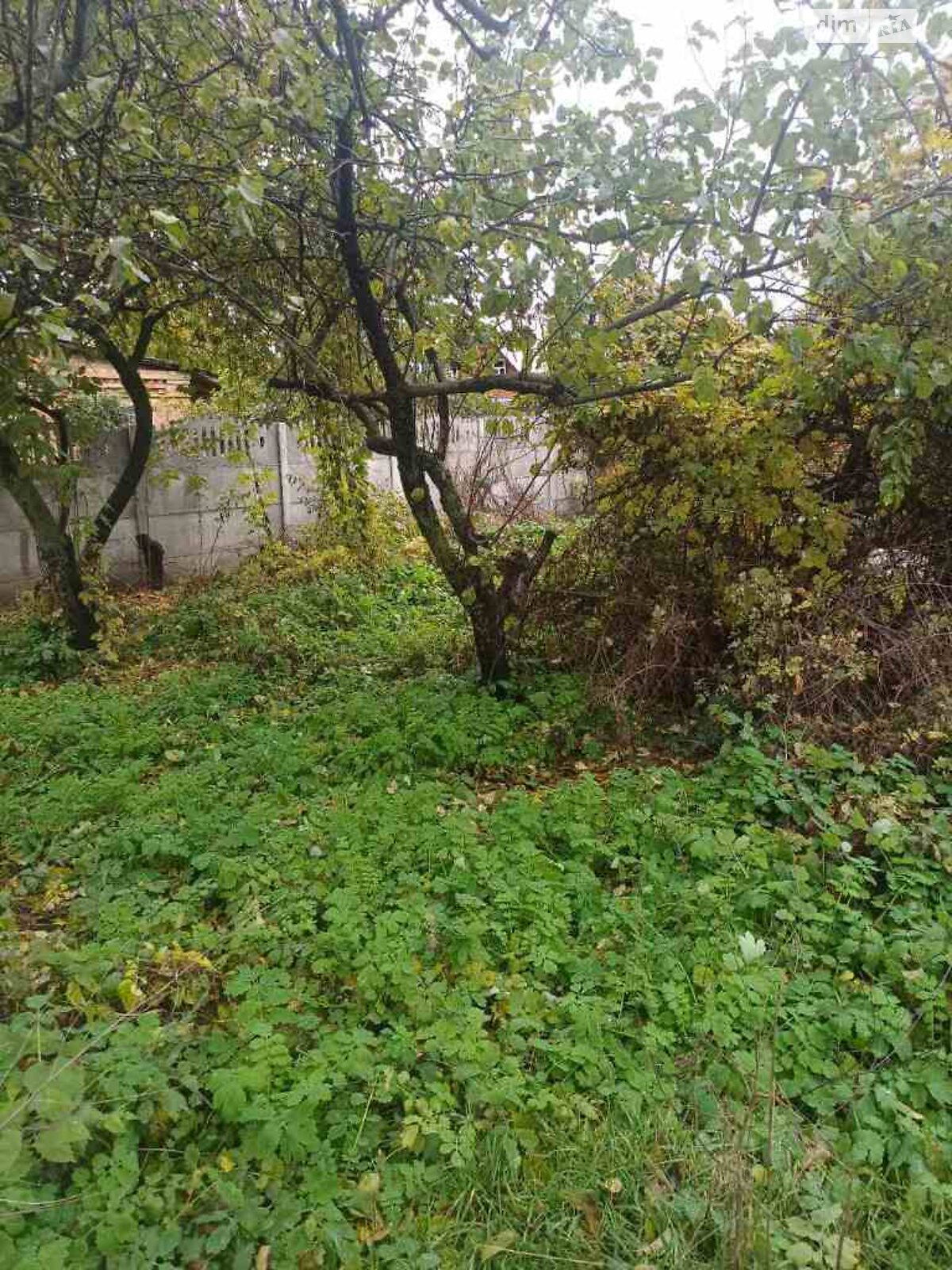 одноповерховий будинок з гаражем, 75.5 кв. м, цегла. Продаж у Києві фото 1