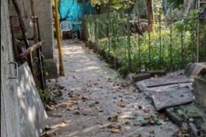 одноэтажный дом, 80 кв. м, кирпич. Продажа в Киеве район Ширма фото 2