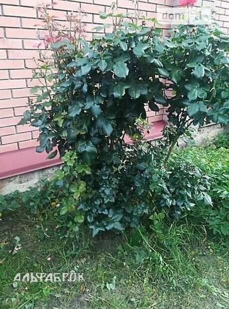двоповерховий будинок, 135 кв. м, газобетон. Продаж в Києві, район Теремки-1 фото 1 двоповерховий будинок, 135 кв. м, газобетон. Продаж в Києві, район Теремки-1 фото 1