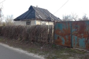 одноповерховий будинок, 30 кв. м, цегла. Продаж в Києві, район Віта-Литовська фото 2