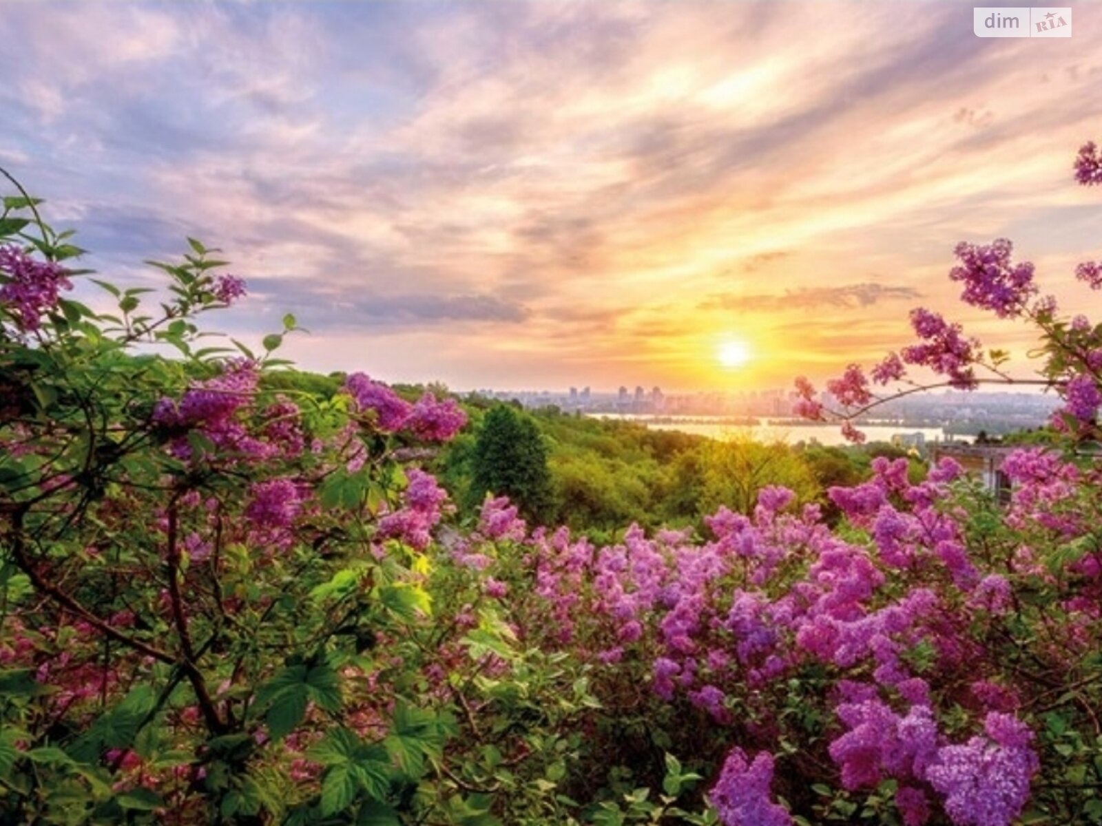 триповерховий будинок з опаленням, 2135 кв. м, монолітно-цегляний. Продаж в Києві, район Звіринець фото 1