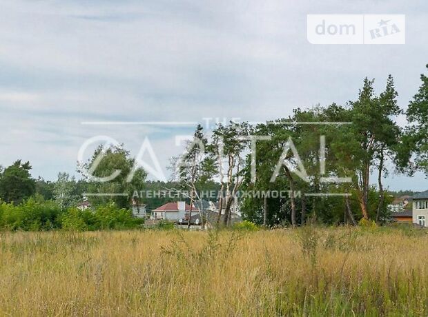 двухэтажный дом с садом, 320 кв. м, кирпич. Продажа в Чайках (Киевская обл.) фото 1 двухэтажный дом с садом, 320 кв. м, кирпич. Продажа в Чайках (Киевская обл.) фото 1