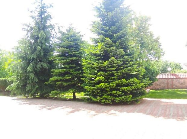 трехэтажный дом с камином, 608 кв. м, кирпич. Продажа в Гатном (Киевская обл.) фото 1 трехэтажный дом с камином, 608 кв. м, кирпич. Продажа в Гатном (Киевская обл.) фото 1