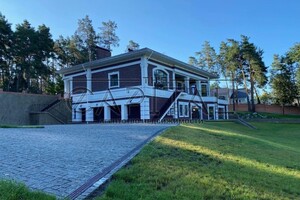 двоповерховий будинок з опаленням, 1039 кв. м, цегла. Продаж у Горенці фото 2