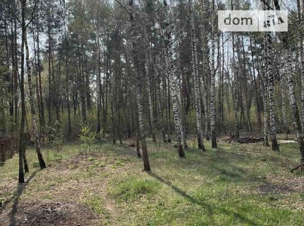 двухэтажный дом с камином, 118 кв. м, кирпич. Продажа в Капитановке (Киевская обл.) фото 1 двухэтажный дом с камином, 118 кв. м, кирпич. Продажа в Капитановке (Киевская обл.) фото 1