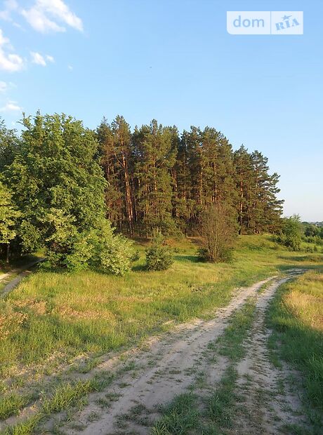 двухэтажный дом, 332 кв. м, кирпич. Продажа в Михайловке-Рубежовке (Киевская обл.) фото 1 двухэтажный дом, 332 кв. м, кирпич. Продажа в Михайловке-Рубежовке (Киевская обл.) фото 1