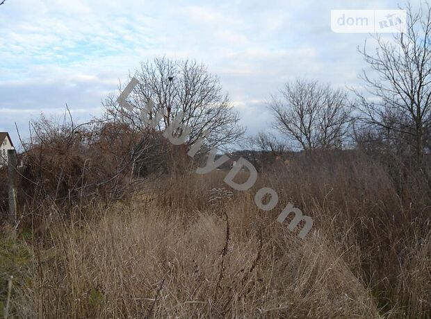 одноэтажный дом, 70 кв. м, кирпич. Продажа в Хотове (Киевская обл.) фото 1 одноэтажный дом, 70 кв. м, кирпич. Продажа в Хотове (Киевская обл.) фото 1