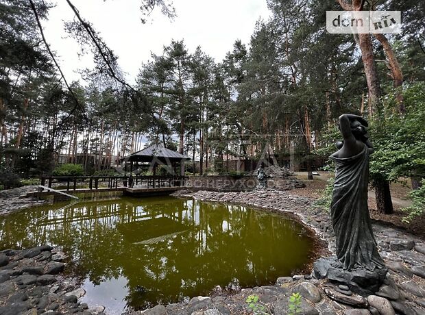 трехэтажный дом с камином, 881 кв. м, кирпич. Продажа в Петропавловской Борщаговке (Киевская обл.) фото 1 трехэтажный дом с камином, 881 кв. м, кирпич. Продажа в Петропавловской Борщаговке (Киевская обл.) фото 1