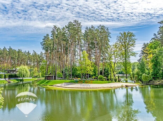 одноэтажный дом с камином, 380 кв. м, кирпич. Продажа в Стоянке (Киевская обл.) фото 1 одноэтажный дом с камином, 380 кв. м, кирпич. Продажа в Стоянке (Киевская обл.) фото 1