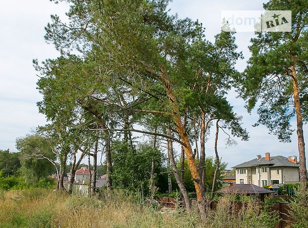 двухэтажный дом с садом, 320 кв. м, кирпич. Продажа в Чайках (Киевская обл.) фото 1 двухэтажный дом с садом, 320 кв. м, кирпич. Продажа в Чайках (Киевская обл.) фото 1