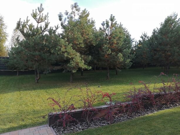 двухэтажный дом с террасой, 285 кв. м, кирпич. Продажа в Ходосовке (Киевская обл.) фото 1 двухэтажный дом с террасой, 285 кв. м, кирпич. Продажа в Ходосовке (Киевская обл.) фото 1