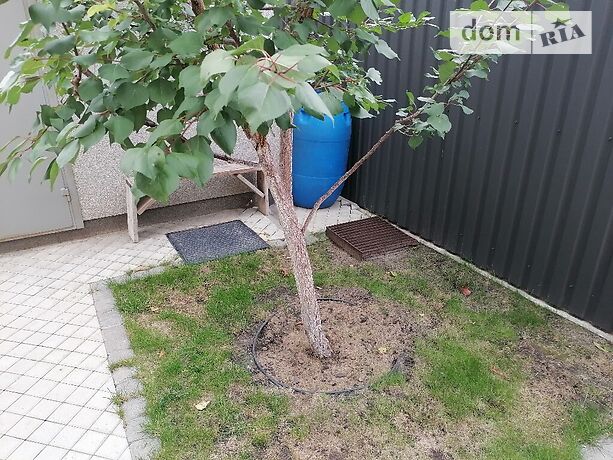 двухэтажный дом с камином, 232.9 кв. м, кирпич. Продажа в Софиевской Борщаговке (Киевская обл.) фото 1 двухэтажный дом с камином, 232.9 кв. м, кирпич. Продажа в Софиевской Борщаговке (Киевская обл.) фото 1