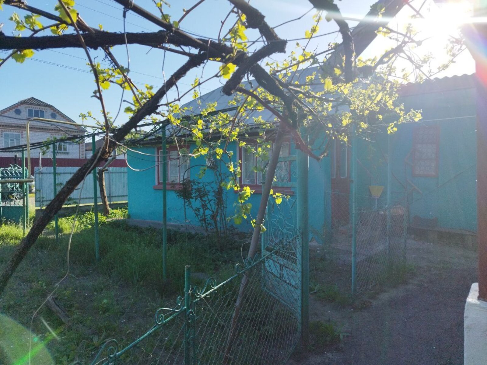 одноповерховий будинок, 80 кв. м, цегла саманна. Продаж у Кинашеві фото 1 одноповерховий будинок, 80 кв. м, цегла саманна. Продаж у Кинашеві фото 1