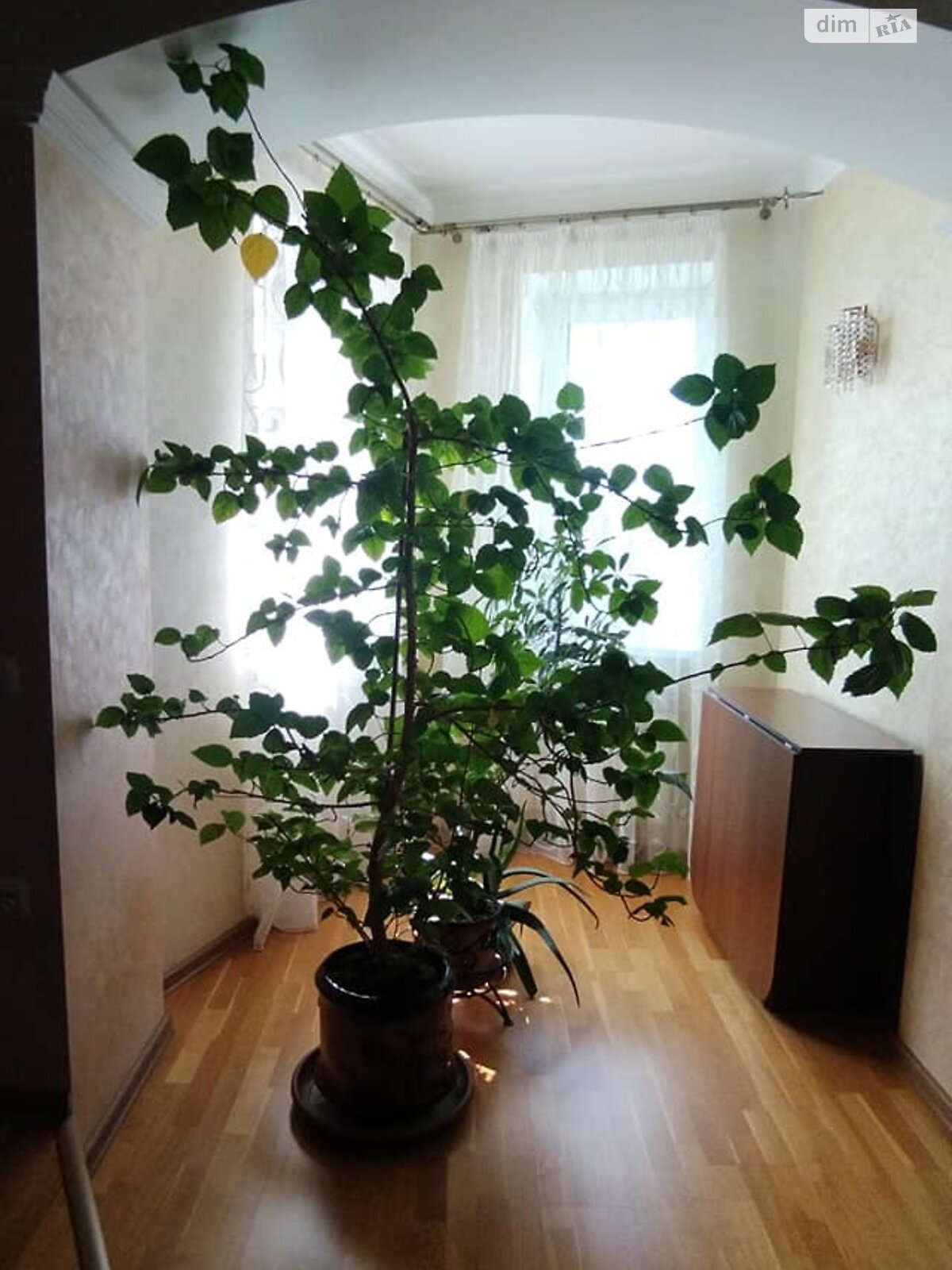 двоповерховий будинок з гаражем, 210 кв. м, цегла. Продаж у Кинашеві фото 1 двоповерховий будинок з гаражем, 210 кв. м, цегла. Продаж у Кинашеві фото 1