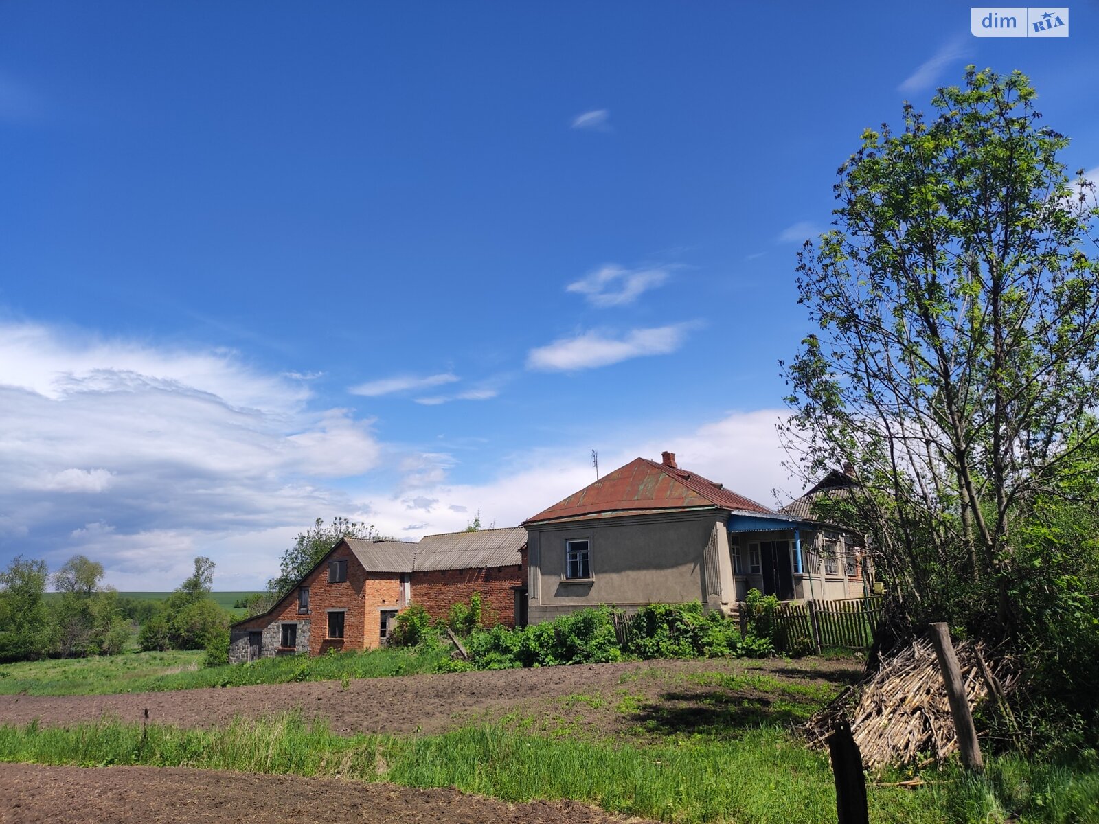 одноповерховий будинок, 66.7 кв. м, шлакоблок. Продаж у Кинашеві фото 1 одноповерховий будинок, 66.7 кв. м, шлакоблок. Продаж у Кинашеві фото 1
