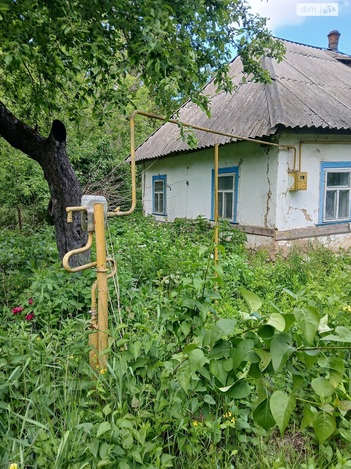 одноэтажный дом, 40 кв. м, глинобитный. Продажа в Кипячке фото 1 одноэтажный дом, 40 кв. м, глинобитный. Продажа в Кипячке фото 1