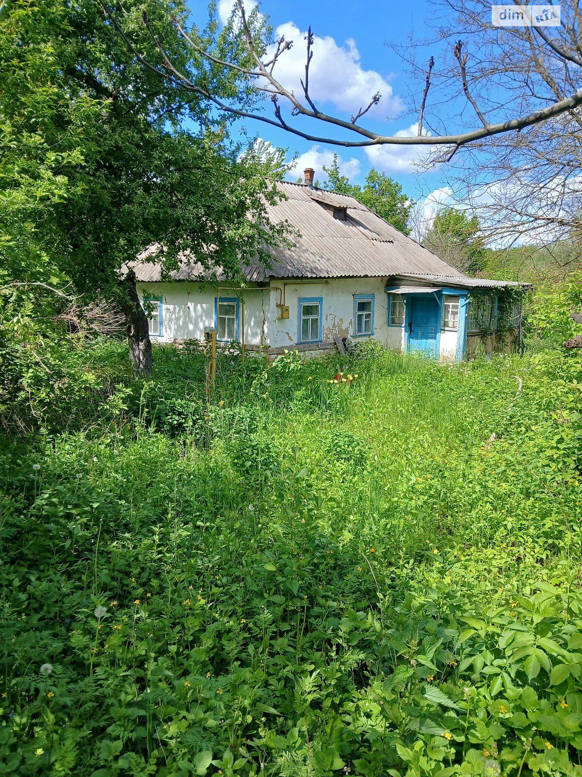 одноэтажный дом, 40 кв. м, глинобитный. Продажа в Кипячке фото 1 одноэтажный дом, 40 кв. м, глинобитный. Продажа в Кипячке фото 1