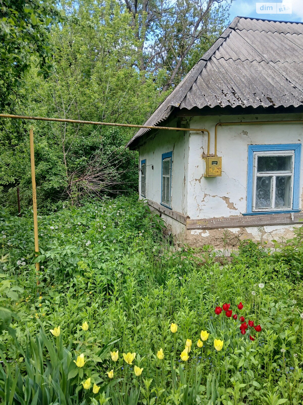 одноэтажный дом, 40 кв. м, глинобитный. Продажа в Кипячке фото 1 одноэтажный дом, 40 кв. м, глинобитный. Продажа в Кипячке фото 1