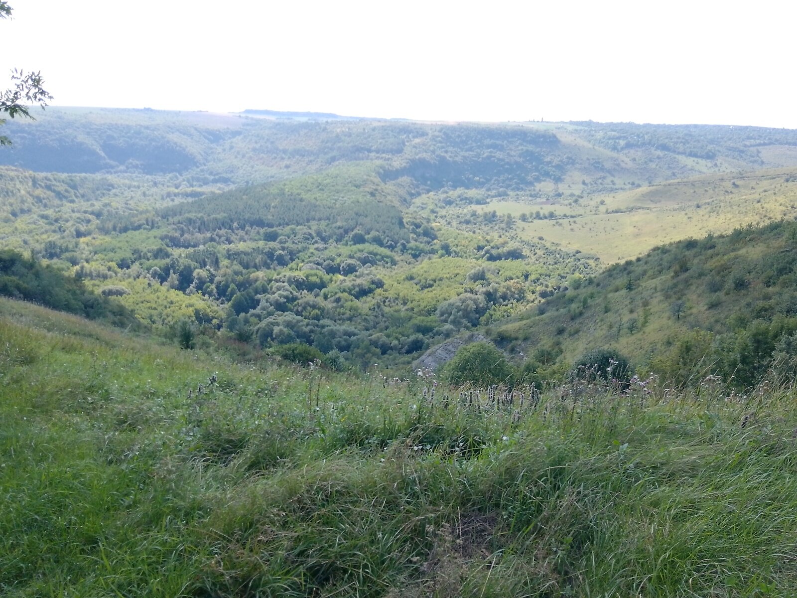 одноэтажный дом с верандой, 63.4 кв. м, глинобитный. Продажа в Китайгороде фото 1