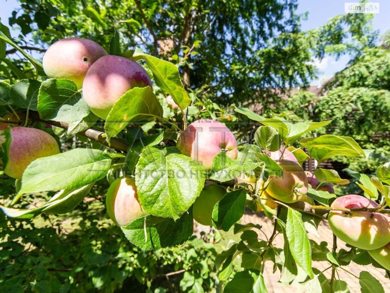 двоповерховий будинок з балконом, 250 кв. м, зруб. Продаж у Кийлові фото 1