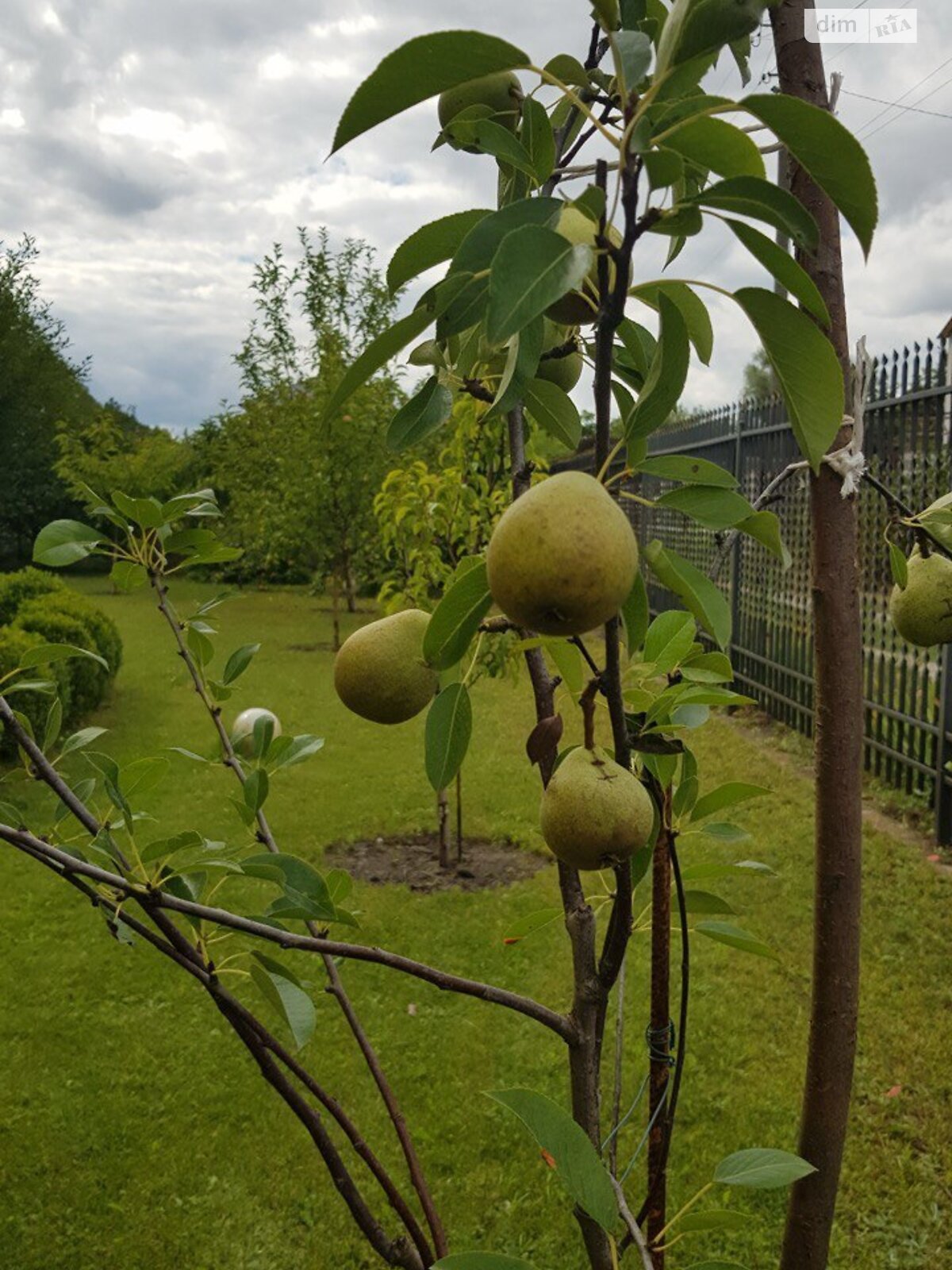 двоповерховий будинок з опаленням, 106 кв. м, піноблок. Продаж у Кийлові фото 1